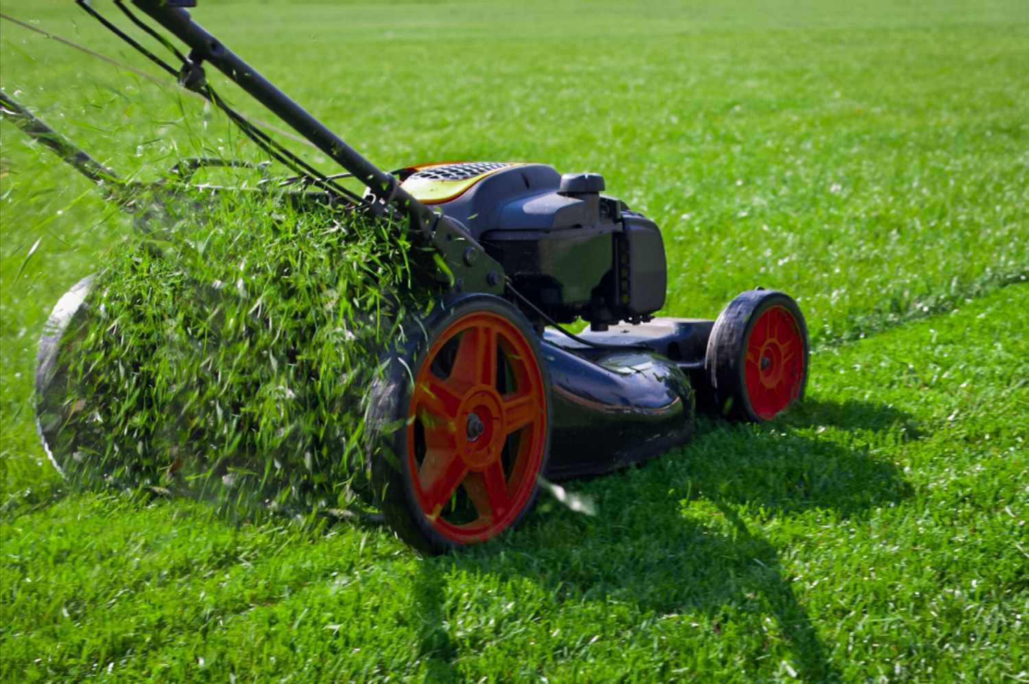 Lawn Maintenance