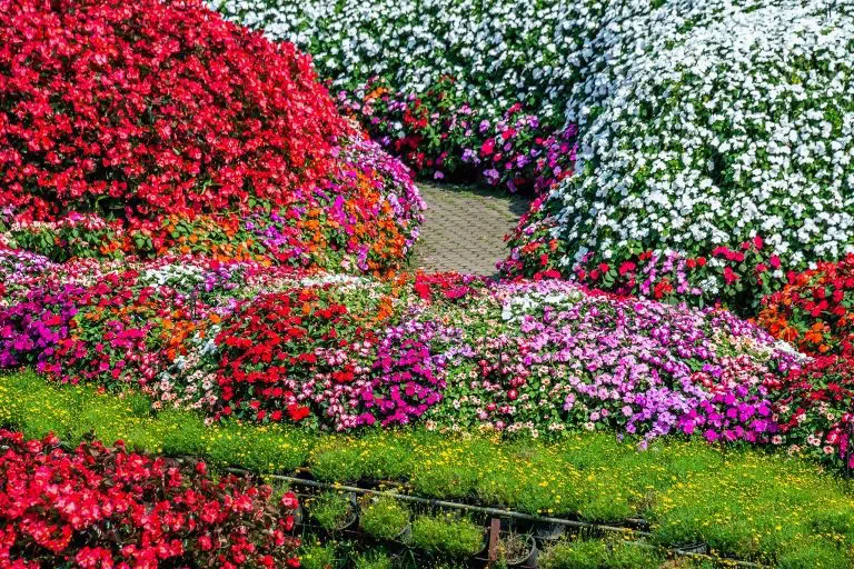 Seasonal Flower Installation